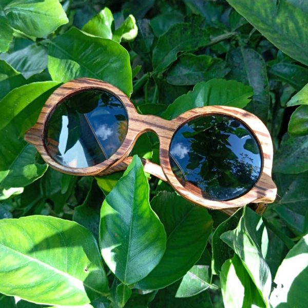 oculos de sol de madeira leaf eco kitty zebrano